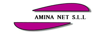 logoAMINA3.gif (3606 bytes)